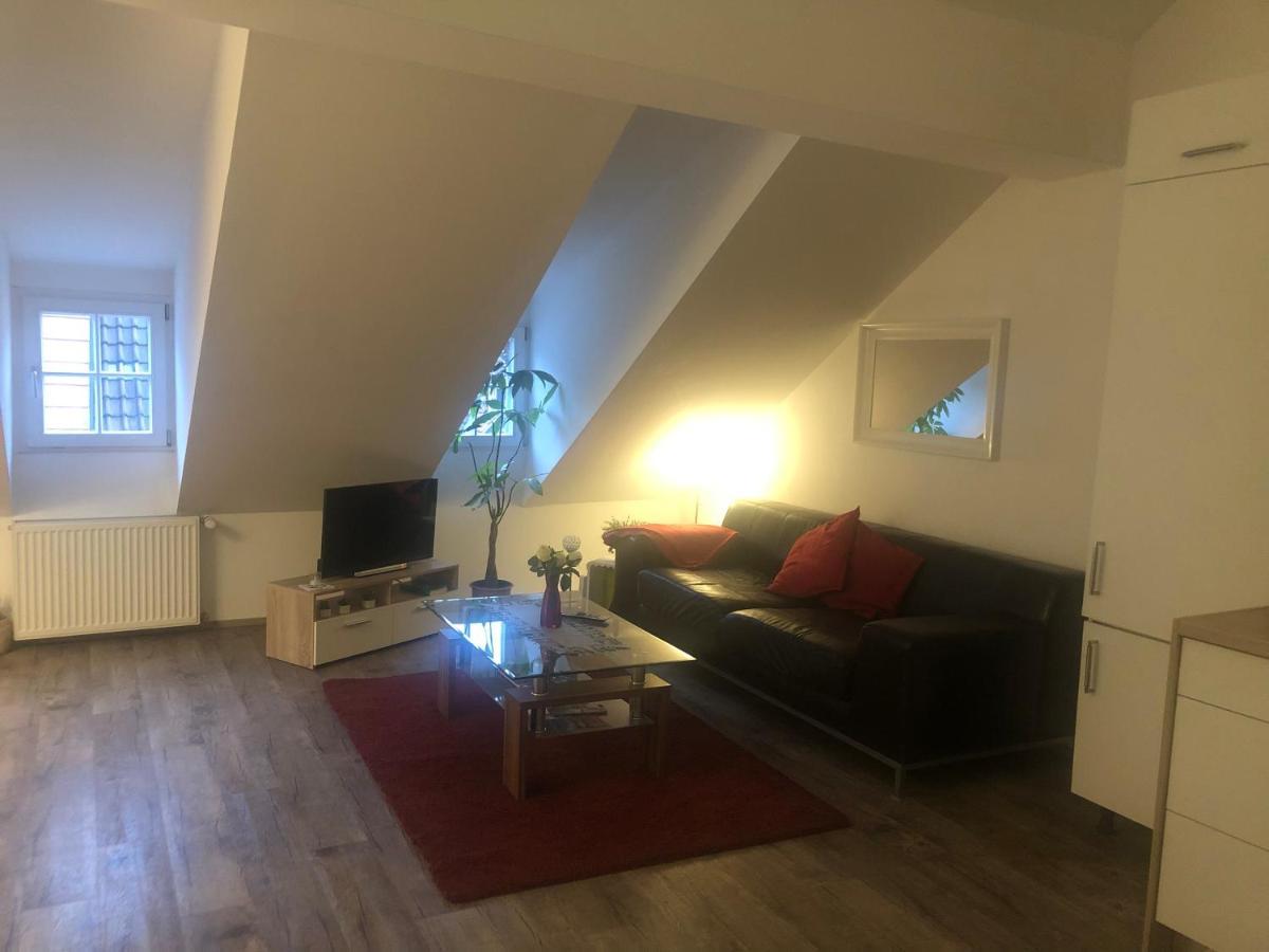 Old Bridge View Apartment Heidelberg Exterior foto